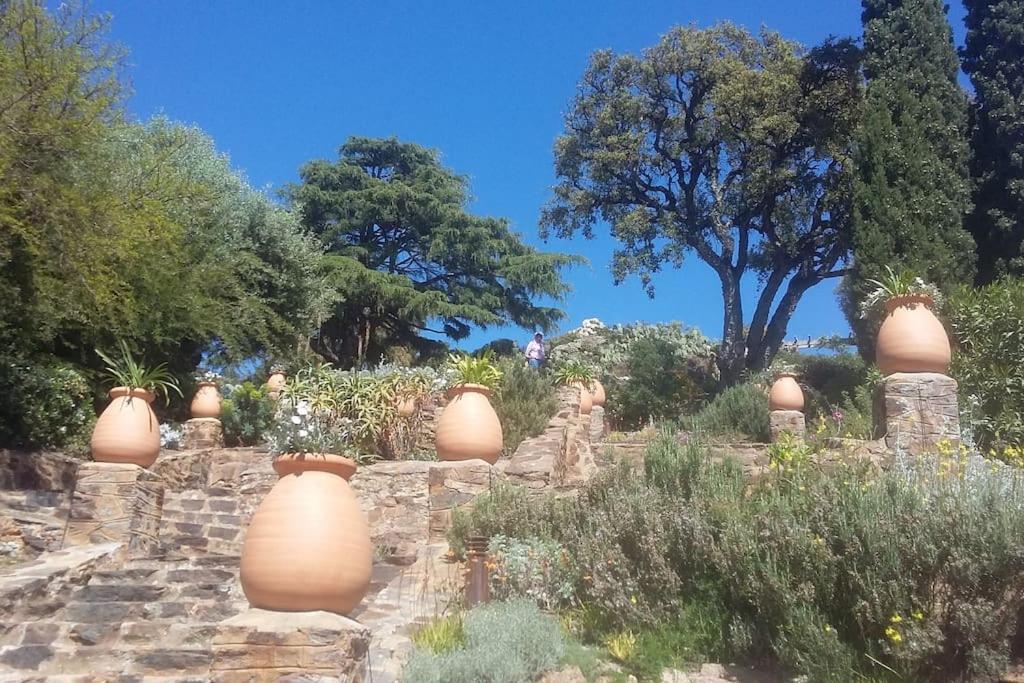 Studio 4 Pers Coeur Du Lavandou 5Mn A Pied Des Plages Le Lavandou Exterior foto